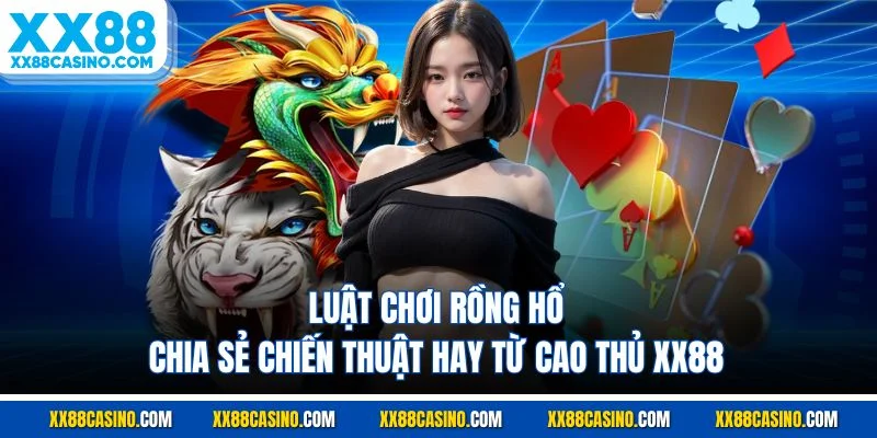 Luật Chơi Rồng Hổ - Chia Sẻ Chiến Thuật Hay Từ Cao Thủ XX88