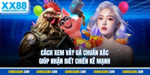 Cách Xem Vảy Gà Chuẩn Xác Giúp Nhận Biết Chiến Kê Mạnh